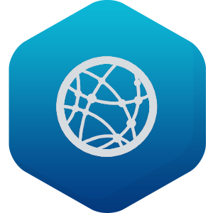 Icon CDN