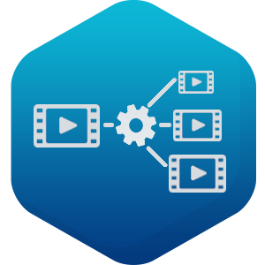 Transkoodaus transcoding