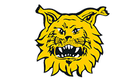 Ilves Sports Club
