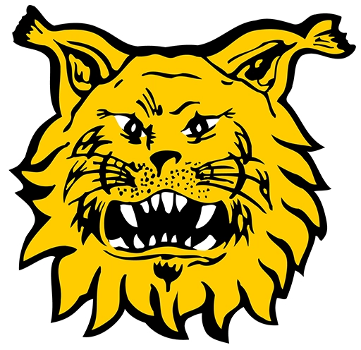 Ilves